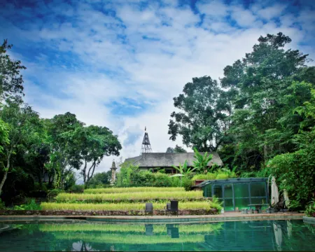 Mijing Wazhai Rice Field Manor Hotels in Ximeng