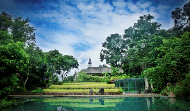Mijing Wazhai Rice Field Manor
