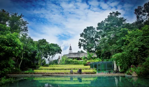 Mijing Wazhai Rice Field Manor Hotels in Ximeng