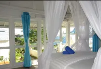 Cliff Park Lembongan Hotels near Buraq Expreess boat snorkeling trip