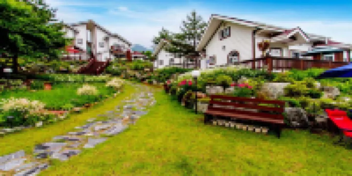 Sunny House