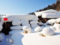 雪谷映山红客栈 - 酒店附近