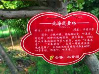 登封会善丰景园 - 酒店附近