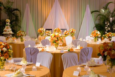 Wedding Reception Services