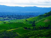 Sirinati Khao Kho Hotels in Khao Kho