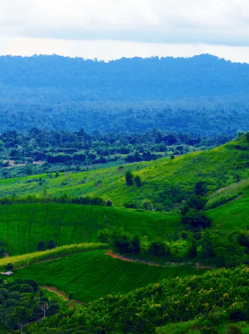 รูปภาพของศิรินที เขาค้อ เนชั่นแนลปาร์ค