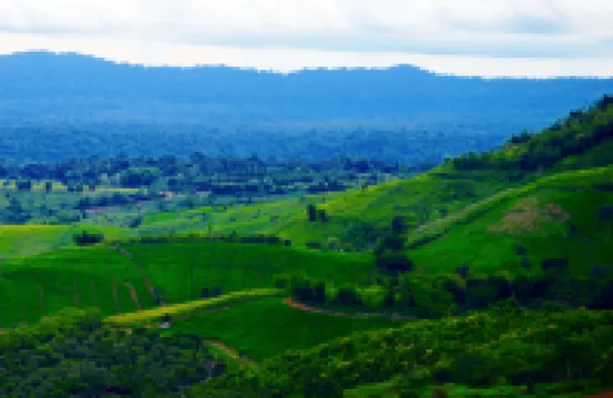 ศิรินที เขาค้อ เนชั่นแนลปาร์ค