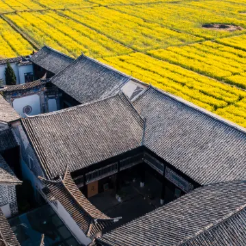 The Linden Centre·Yang's House Hotels near Xizhou