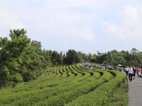 丹江口松涛山庄 - 酒店景观