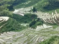 Shi Guang Er Hao Homestay