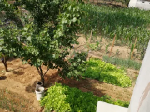 Yesanpo Guixuan Hotel