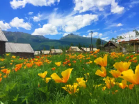 喀納斯泰加民宿 カナス川周辺のホテル
