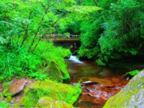 ホーム インホテル(固原高平路市役所) 固原のホテル