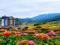 万科松花湖半山青山墅