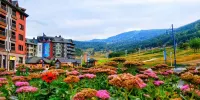 Qingshan Villa Hotels in 