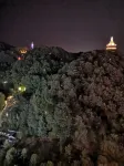 Meiyi Light Luxury Hotel (Zhangjiajie Pedestrian Street Dayong Ancient City Branch) - Lãng mạn