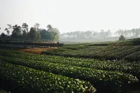 Mingyue Yingyuan Hostel - Mountain view
