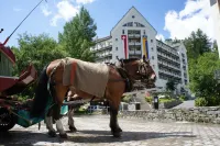 Hotel Schweizerhof, Sils Maria, a Faern Collection Hotel - Wifi
