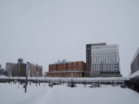 โรงแรมวายส์ อาซาฮิกาวา เอคิมาเอะ โรงแรมในอาซาฮิกาวะ