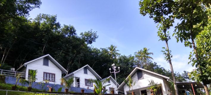 Mistywindvalley Hotels in Kottayam