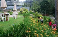 Hemerocerite Forest Countryside Bed and Breakfast