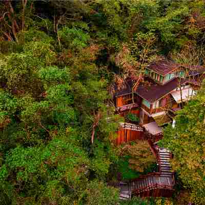 Ninghai Forest Hot Spring Resort Hotel Exterior