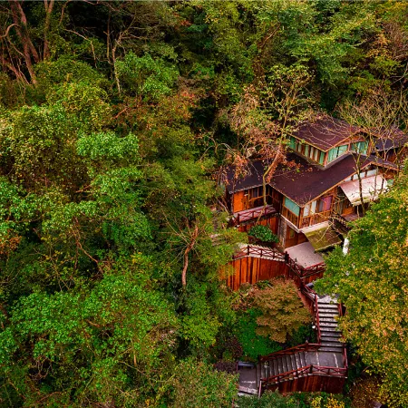 Ninghai Forest Hot Spring Resort