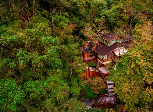 Ninghai Forest Hot Spring Resort