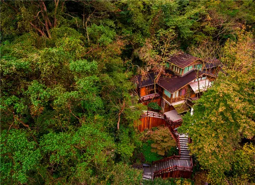 Ninghai Forest Hot Spring Resort