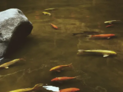 讀旅雲水謠·和德樓土樓文化民宿 南靖縣酒店