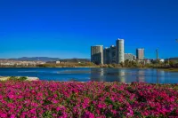 Dali Summer No Winter Seaview Inn (Erhai Park Branch) - Apartments