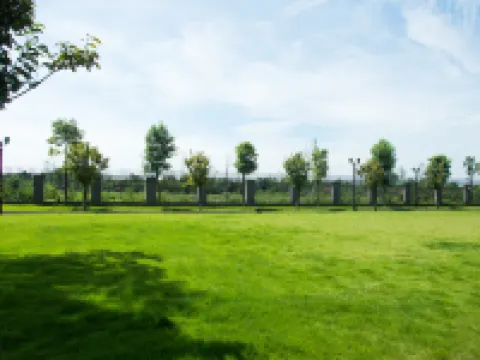 成都安仁福朋喜來登酒店 鄰近黃包車的酒店