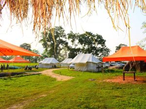 Chanaka Eco Camp ( Adventure Assam )