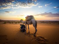 敦煌大漠星光国际沙漠露营基地 - 单人沙漠露营