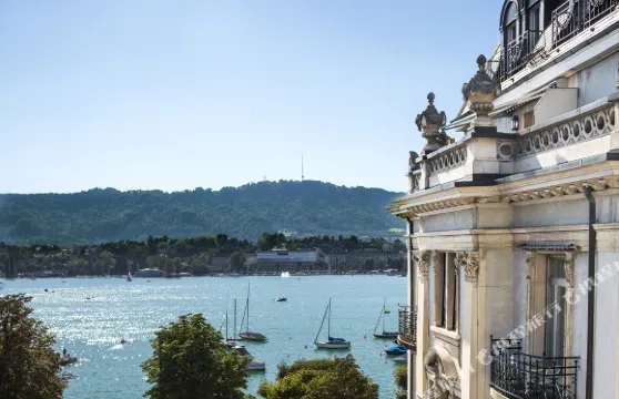 蘇黎世伊甸湖畔保護區酒店