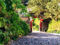 千岛湖青溪山居民宿 - 酒店外部