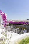 Airotel Alexandros