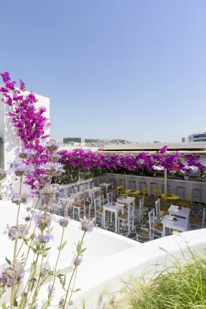 Airotel Alexandros Отели рядом с достопримечательностью «Исторический Музей Афинского Университета»