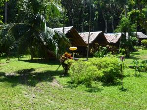 Paradise Lost Bungalows