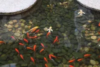 Shangri-La Hotel Dalian