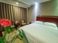 宜章隆莱国际大酒店 - 高级大床房