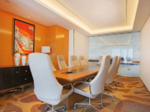 怀宁德辰金陵大酒店 - 会议室