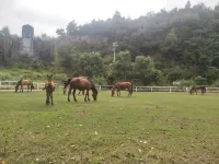 Shengzhou Datang Resort