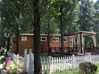 SERENUS ARK Hotels in Yongqing