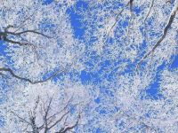 万科松花湖青山Jenny雪景公寓