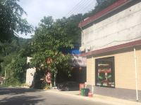 西安张鹏农家乐翠华山店 - 花园