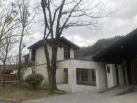 神农架阿尔卡迪亚森林酒店 - 庭院大床房