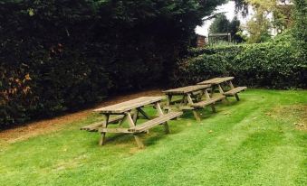 a wooden picnic table is situated in a grassy area with trees and bushes surrounding it at The Dog Inn