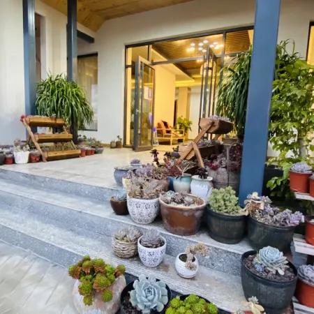 Yunyin Shanju Hostel