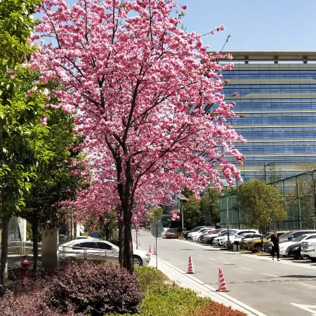 Kunming HNA Flight Hotel